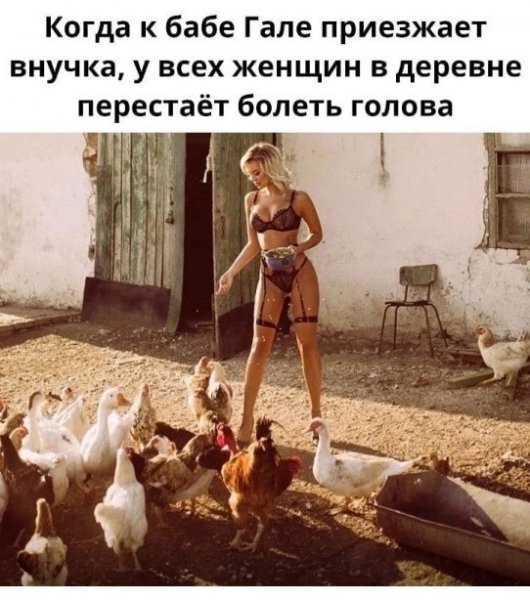 file_102624112