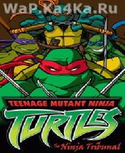 Teenage Mutant Ninja Turtles - The Ninja