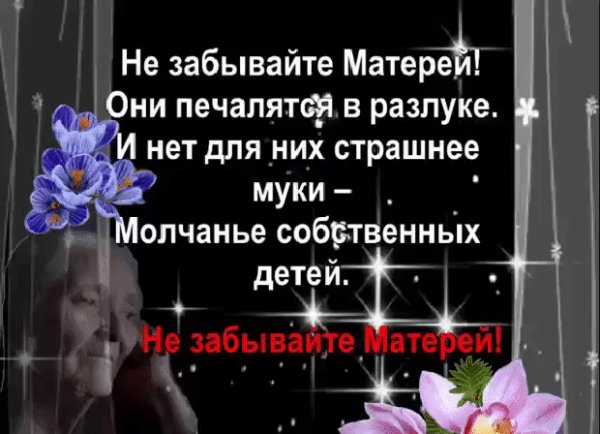 IMG 20171125 133245 0