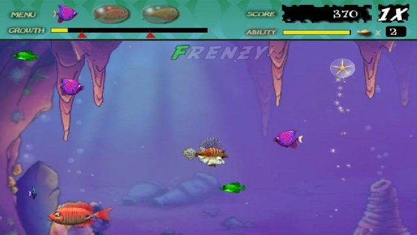 Feeding-Frenzy-setup