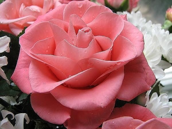 IMG 20160507 005533 1