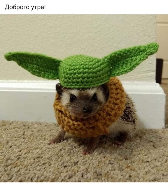 Доброго утра