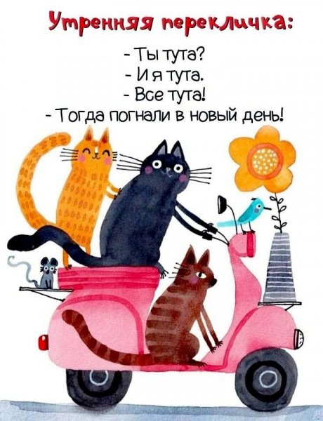 FB IMG 1777725417226