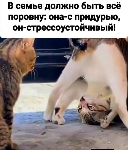 FB IMG 1777489083840