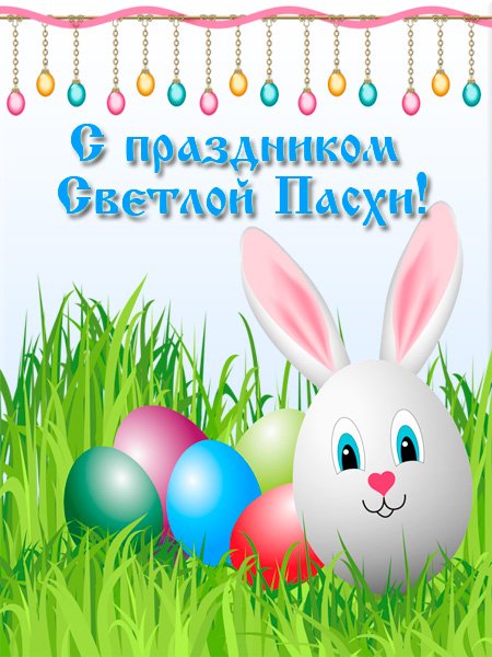 file_84186393