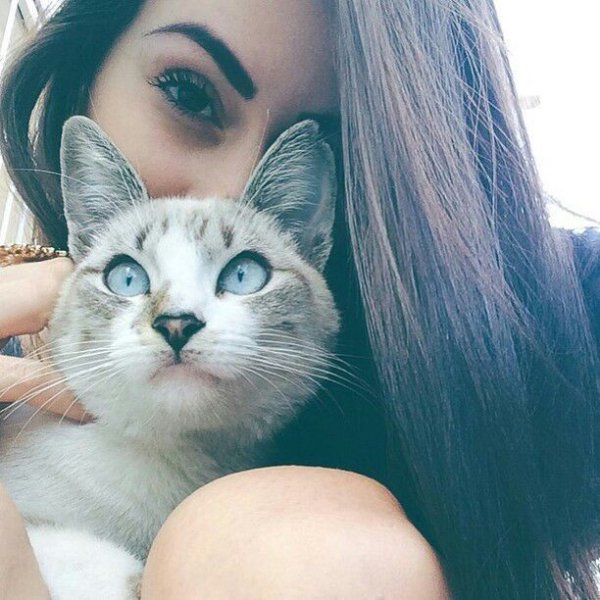 b87fedcea2dfcc749d3b40c9197e688b