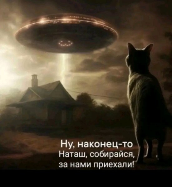file_103078800