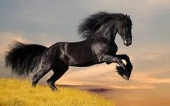 0c154c979c5418b1165f6f9d54358ffd 240x320