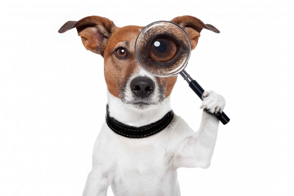 Shutterstock 104156891
