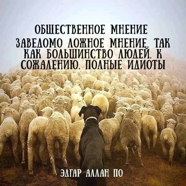 file_99112441