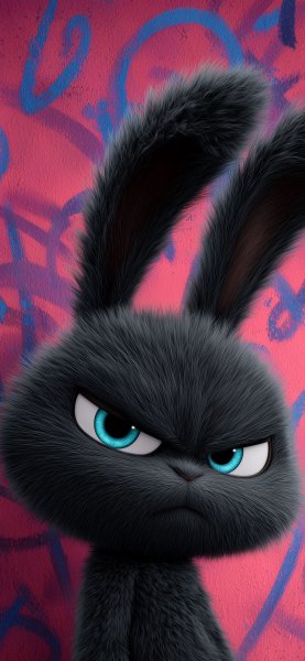 IMG 20260105 171606 960