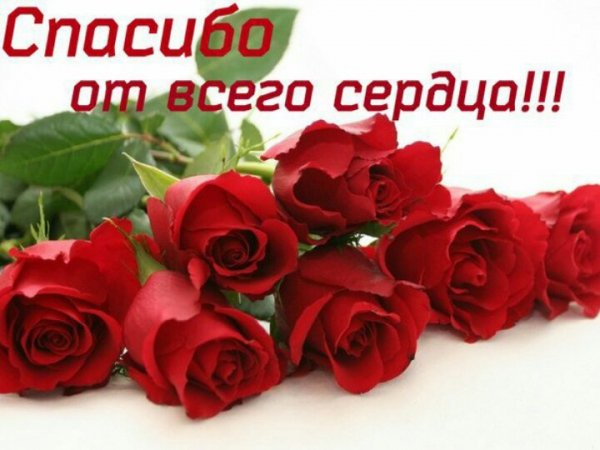 7AH bmjrpyg