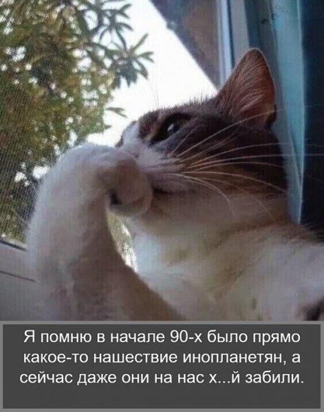 IMG 20260929 001805