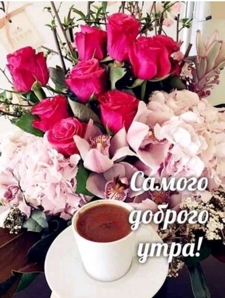 IMG 20190604 053352