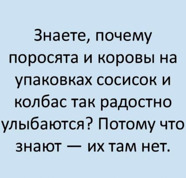 Знаете, почему поросята и коровы