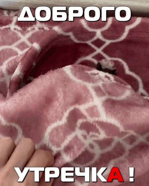 Доброго Утречка