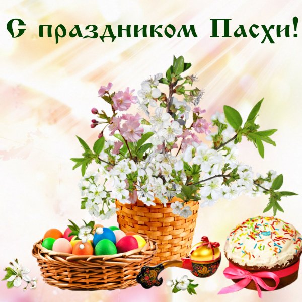 file_84186429