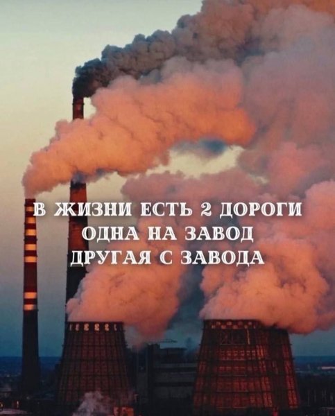 СМЕШНЫЕ КАРТИНКИ (50)