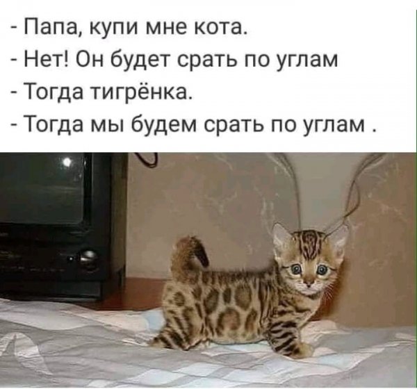 IMG 20200119 085016