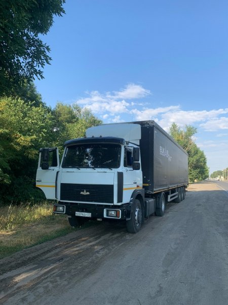 file_99778634
