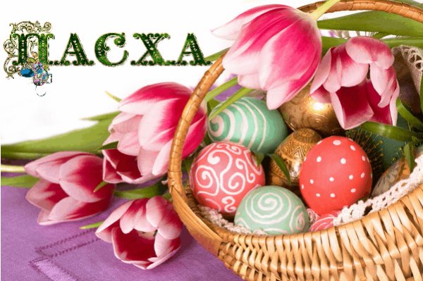 Пacxa