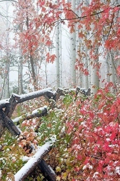 file_94968572