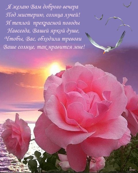 file_63777718