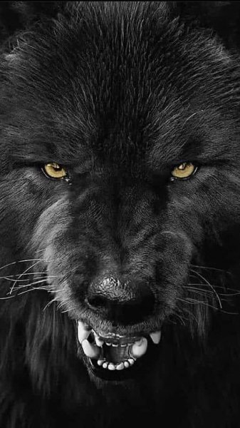 1e659959139fb2e2118084951cab85f1