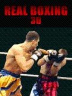 real boxing 3d