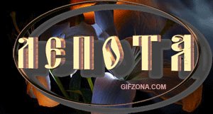 file_67748667