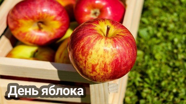 file_94850110