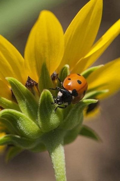 IMG-4354e5a163deec7f4cc390493b9a0eef-V