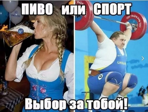 file_102631276