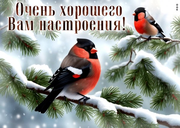 Mirnaya-i-dobrozelatelnaya-otkrytka-ocen-xorosego-vam-nastro