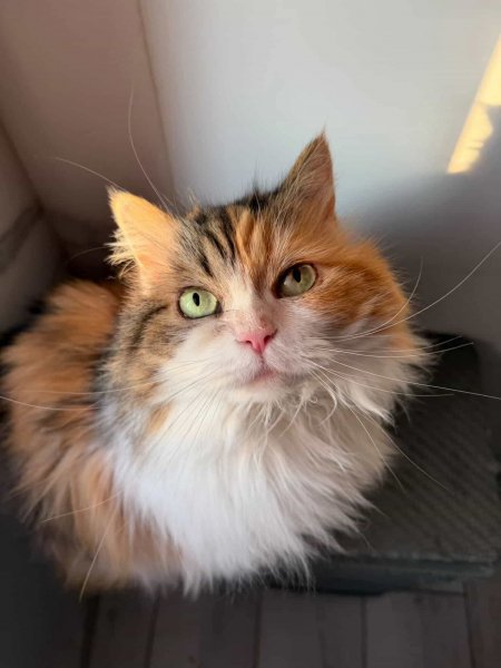 FB IMG 1773949730605