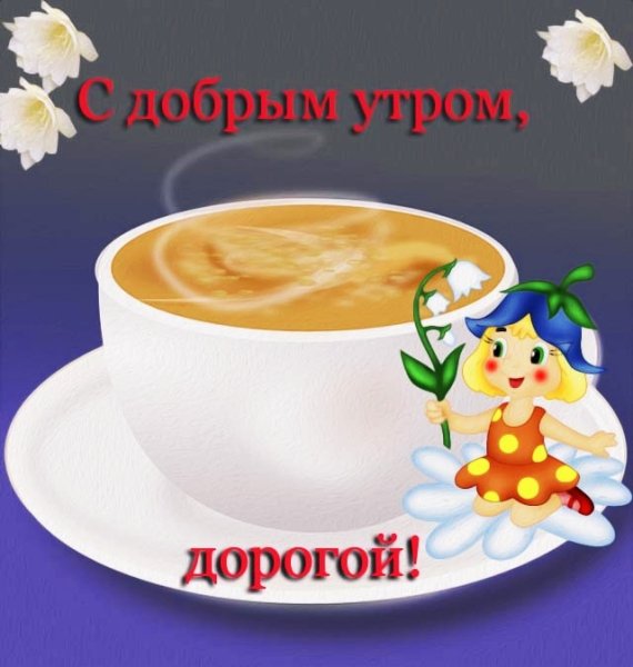 IMG 20181130 170432