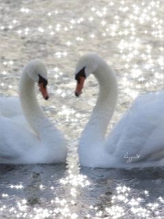 file_50690738