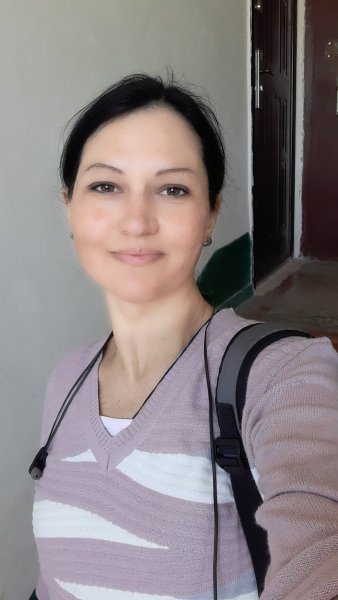 file_96596537