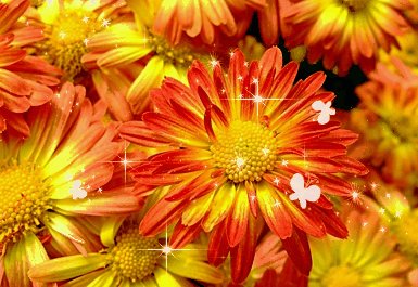 file_31253823