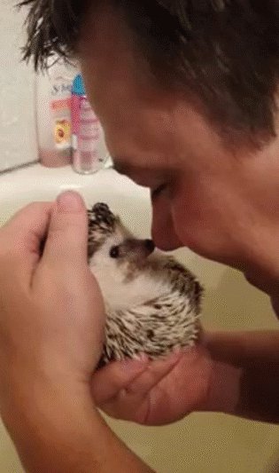 gif 1464283519