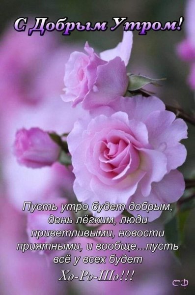 С добрым утром
