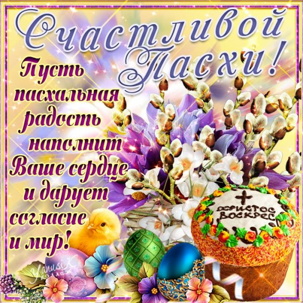 file_84185281