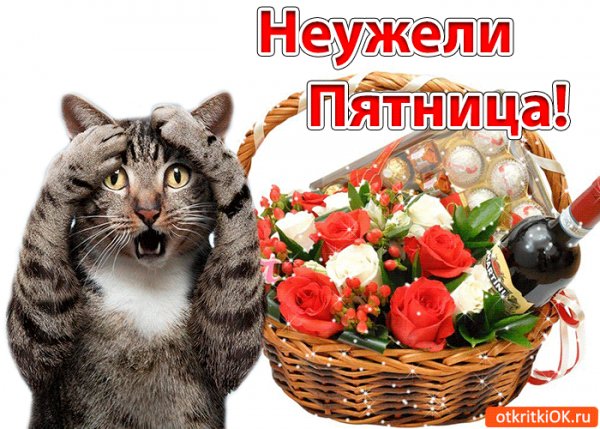 file_75312044
