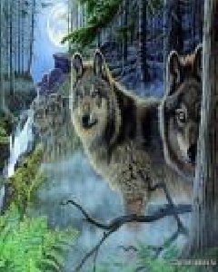 themewolf