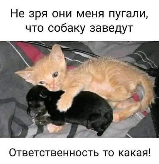 FB IMG 1777488961703