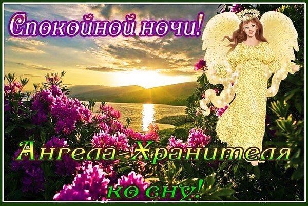 IMG 20181128 150409
