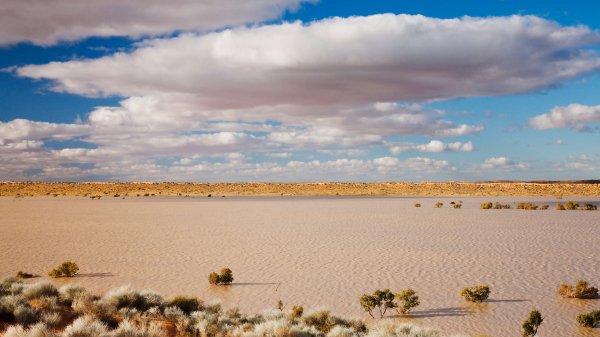 Desert Beauty Premium 7
