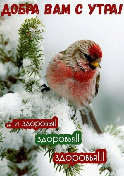 Добра вам с утра