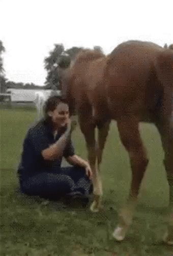 когда очень хочется на ручки