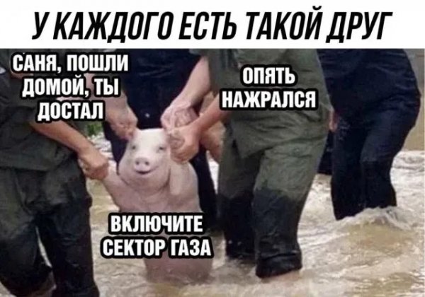 file_103227586